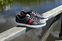 Gucci ace sneakers herr