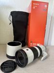 Sony FE 200-600mm f/5,6-6,3 G OSS