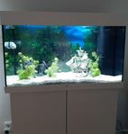 Juwel akvarium Rio 125 liter LED med möbel