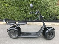 Fatboy Elscooter 2 sits 1500 W bra skick 