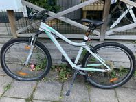 Myka specialized 26 tum Mountainbike