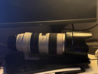 Objektiv: Canon 70-200mm f/2.8 IS