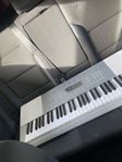 Casio LK-280 Key Lighting Keyboard