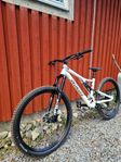 Specialized Stumpjumper Comp Alloy