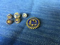 Rotary pins