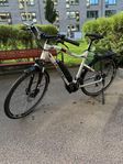 Kanonfin Haibike! Sduro 2.0 Large