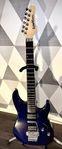 Washburn mg 300 