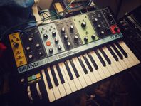 Moog Grandmother