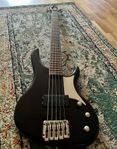 Washburn RB 2500 elbas