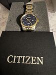 Citizen BI5004-51L herr klocka