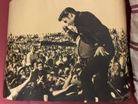 Elvis vintage bild