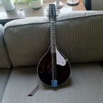 Väldigt fin Mandolin