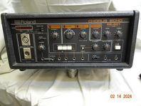 Roland Chous Echo RE-501