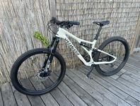 Specialized Stumpjumper Comp Carbon 29