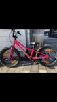 Specialized Riprock