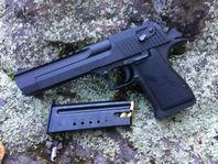 Desert Eagle 44mag