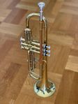 Trumpet C Startone