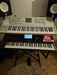 Korg pa1000 och korg m3