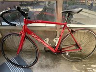 Speedy Bike Specialized Allez 