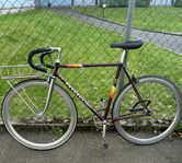 Peugoet racer Fixie/singelspeed