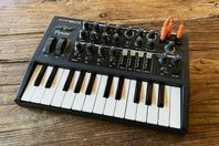 Arturia Microbrute analog synth