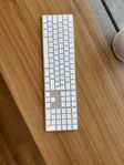 Apple magic keyboard 