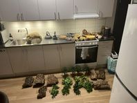 Tillbehör till terrarium