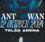 ant wan konsert !!