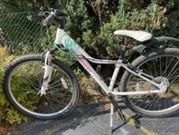 Schwinn MTB junior 