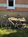 Fin racer Fondriest storlek L