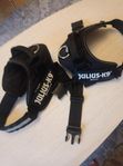  Hundsele Julius K-9 idc Power harness L1