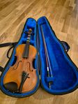 Strunal Violin 220 3/4