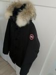 Canada Goose jacka herr