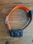 Hundhalsband Garmin Astro DC50 US modellen 