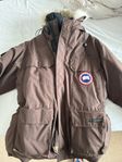 Canada Goose Expedition Parka Herr