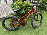 Specialized RipRock 24”