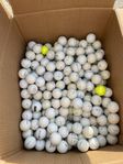 Golfbollar Titleist PRO v1