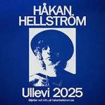 Håkan Hellström 2 st biljetter sittplats 6/6 2025 