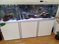 720 liter akvarium 