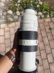 Sony 100-400 GM