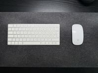 Apple Magic Keyboard + Mouse