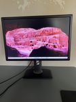 Datorskärm/monitor (LED) - Dell 24"