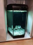 Aquael Hexa 60l Akvarium