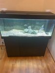 JUWEL Aquarium 240L  