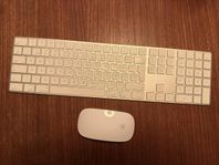 Apple Magic Mouse & keyboard 