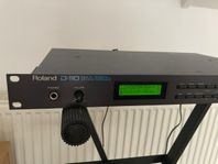 Roland D-110