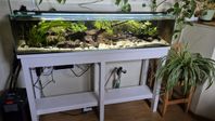 Akvarium 168 liter