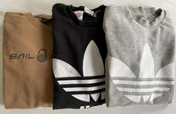 Tre sweatshirts Adidas och Sail Racing stl 164-170