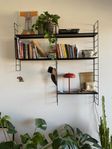 Wall Shelf 