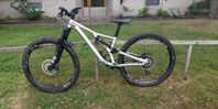 Stumpjumper Specialized EVO